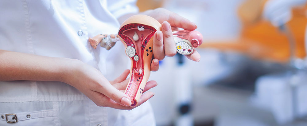 Ärztin mit Modell weiblicher Gebärmutter