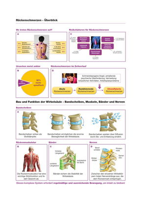 Schmerzsyndrom Rückenschmerzen