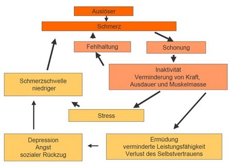 Bio-Psycho-Soziales Modell, multimodale Schmerztherapie und Mind-Body-Medizin: Schmerzen können zu weiteren körperlichen und seelischen Veränderungen führen und müssen deshalb mitbehandelt werden. Dies wird im Sinne einer multimodalen Schmerztherapie durchgeführt