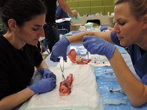 Heilbronner Airway-Workshop